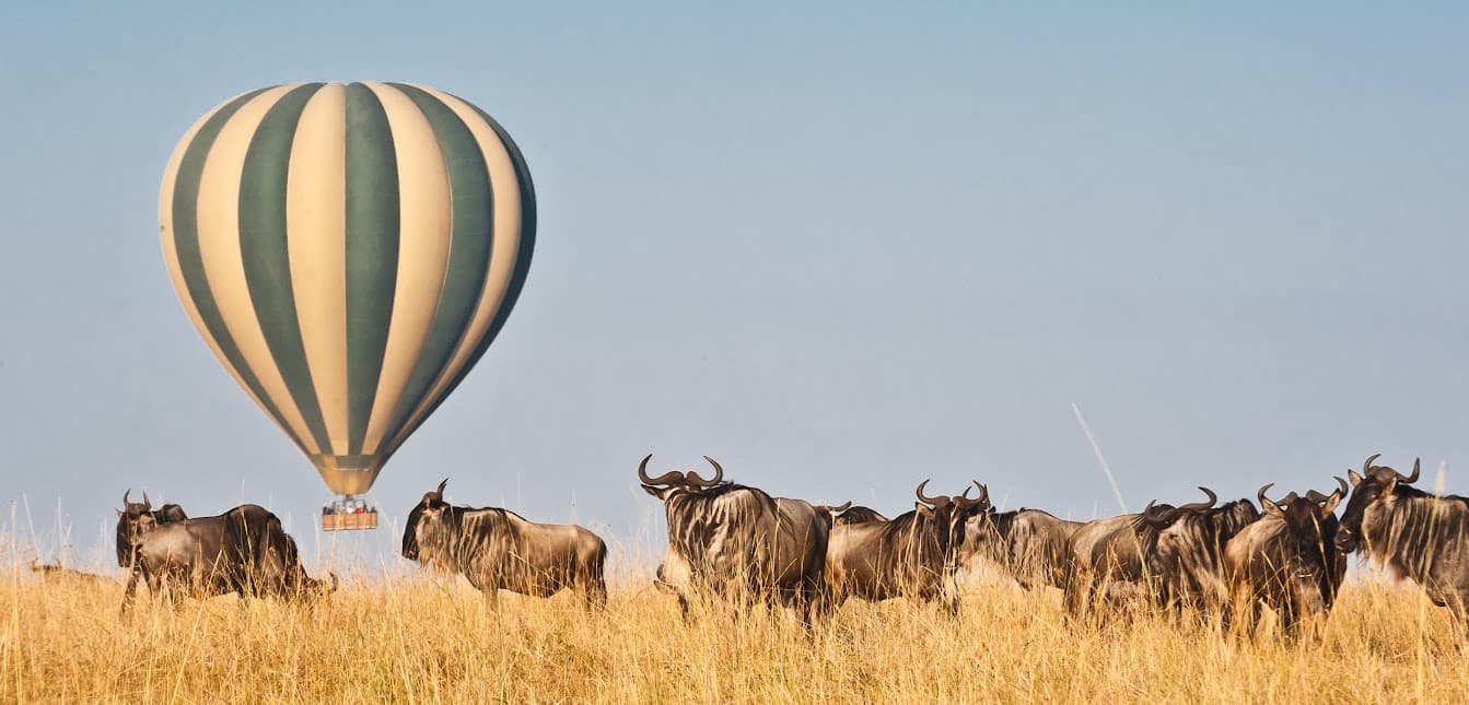Maasai Mara Migration